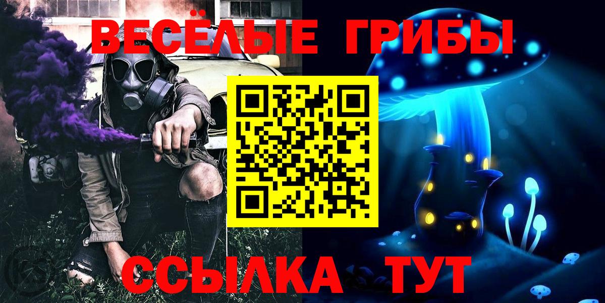 Видное  Псилоцибиновые грибы мицелий  Вход с VPN 