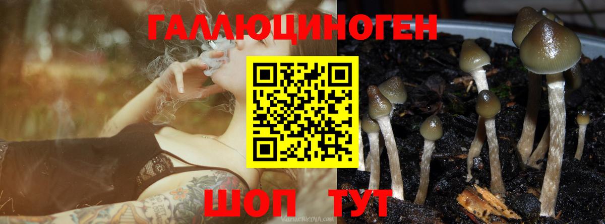 Псилоцибиновые грибы MAGIC MUSHROOMS Видное